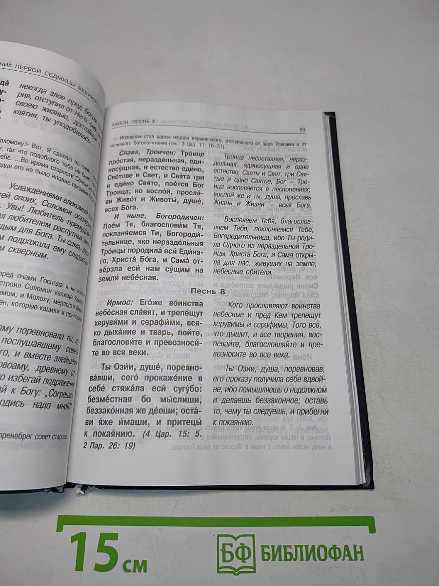 Великий канон преподобного Андрея Критского с переводом на русский язык