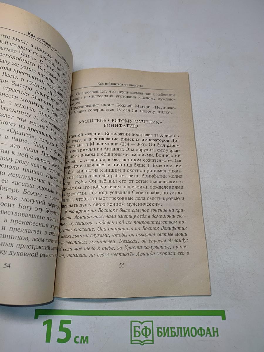 Как победить пьянство