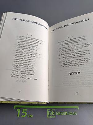 Тень русской ветки: Стихотворения, проза, воспоминания