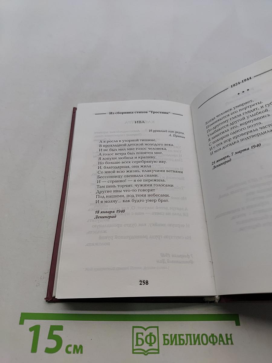 Избранное. В мире поэзии