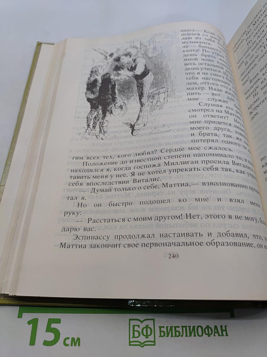 Без семьи. История маленького лорда