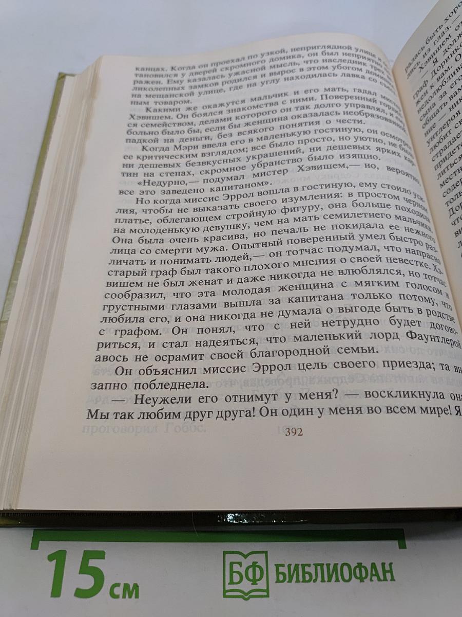 Без семьи. История маленького лорда