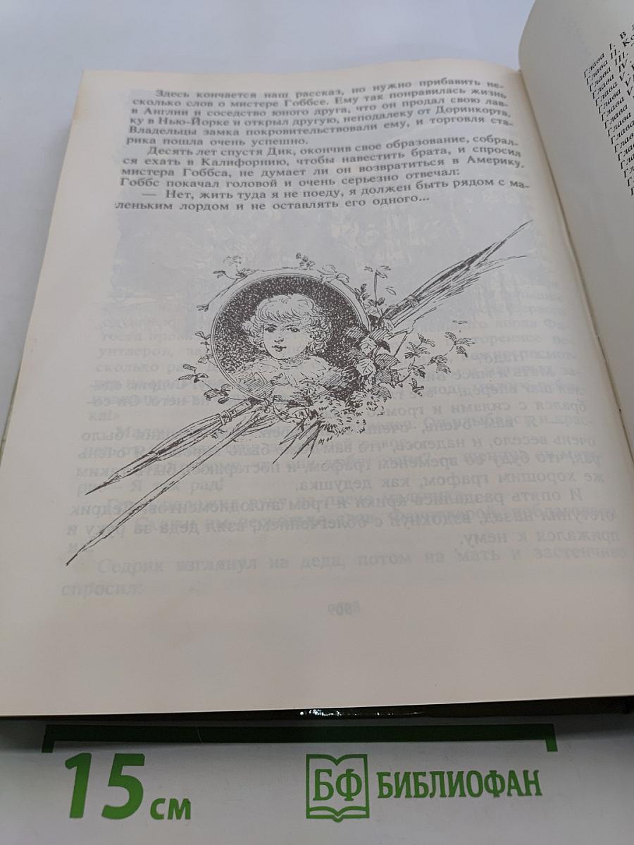 Без семьи. История маленького лорда