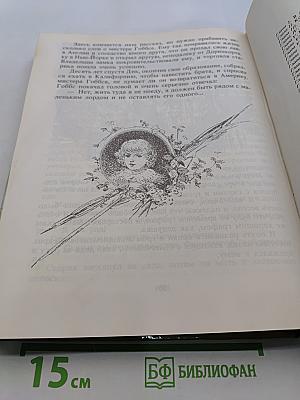 Без семьи. История маленького лорда