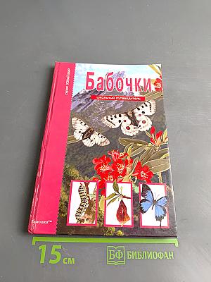 Бабочки. Школьный путеводитель