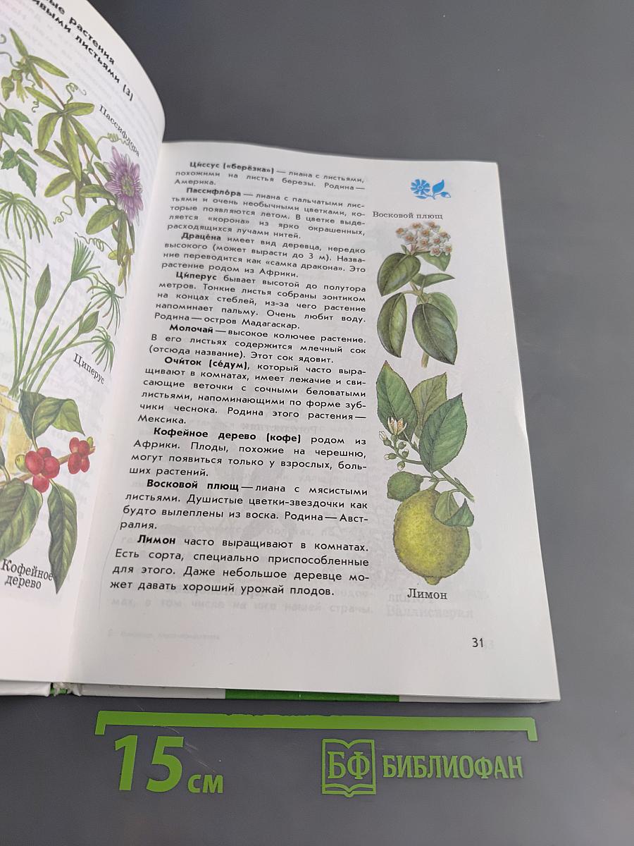 От Земли до неба. Атлас-определитель для учащихся начальных классов