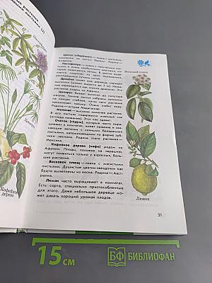 От Земли до неба. Атлас-определитель для учащихся начальных классов