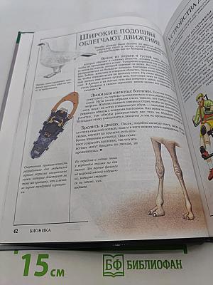 Бионика. Большая серия знаний