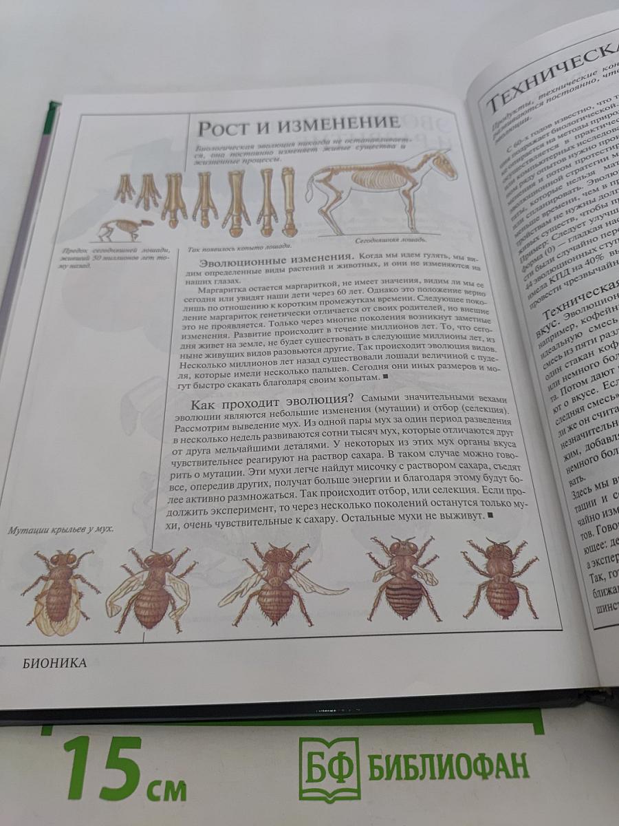 Бионика. Большая серия знаний