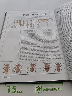 Бионика. Большая серия знаний