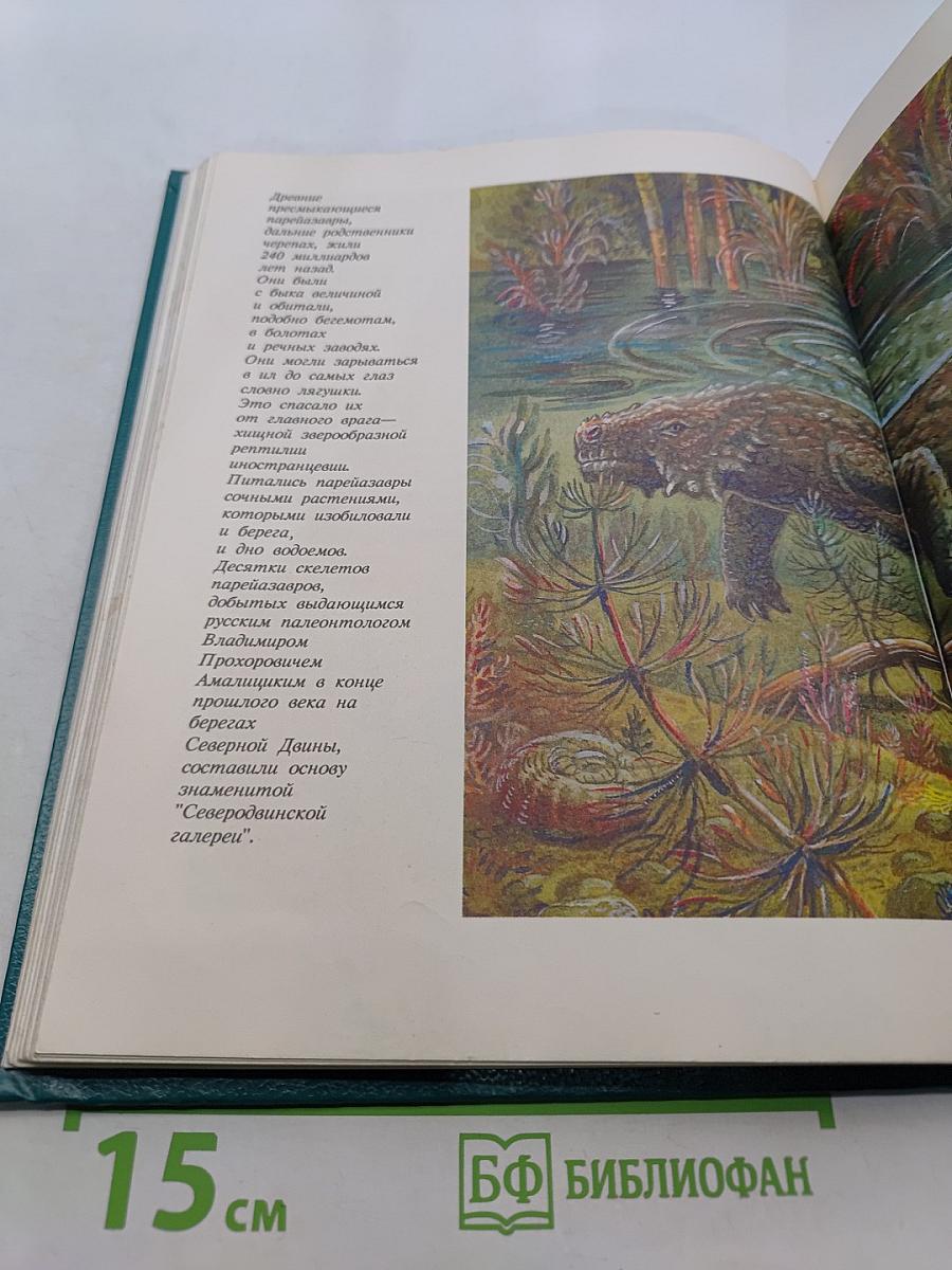 След динозавра