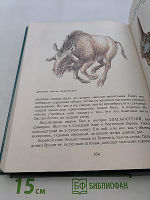 След динозавра