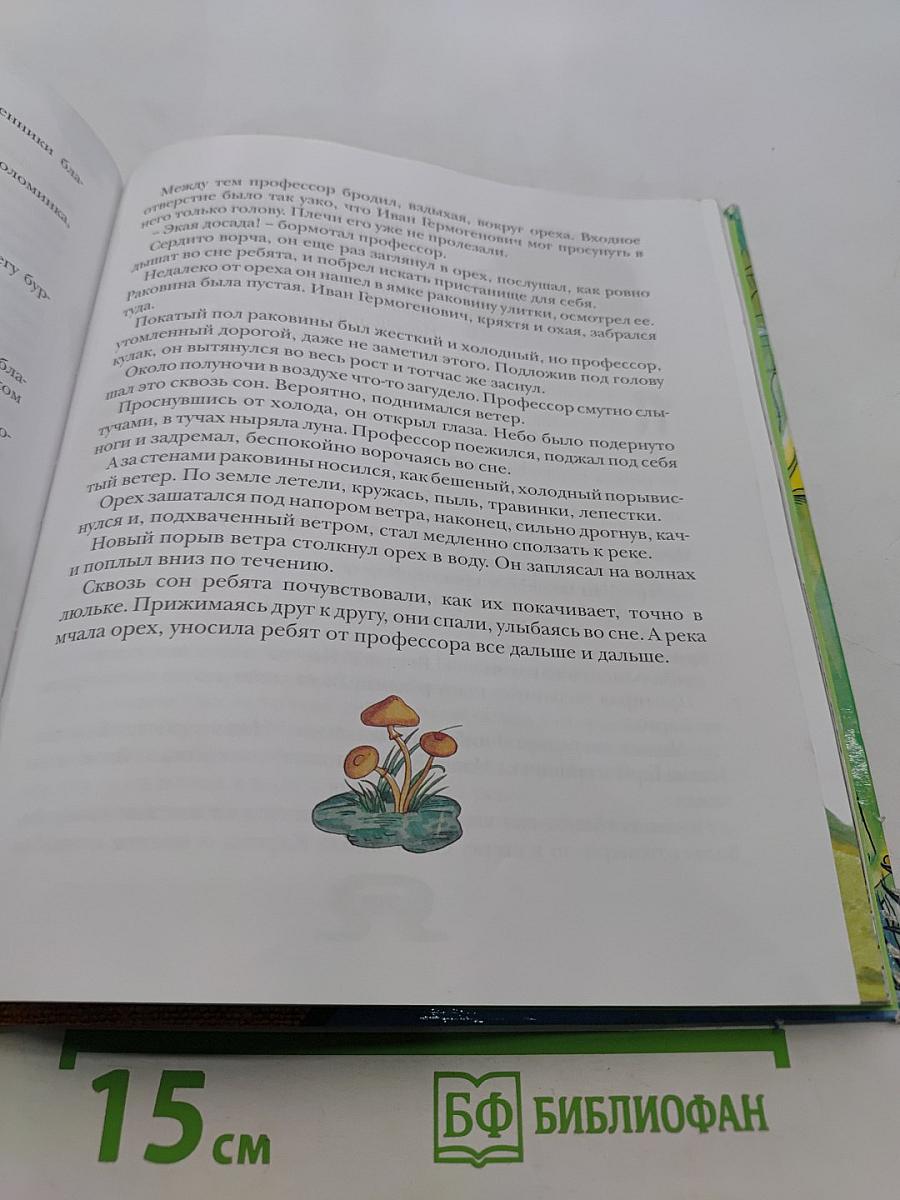 Необыкновенные приключения Карика и Вали