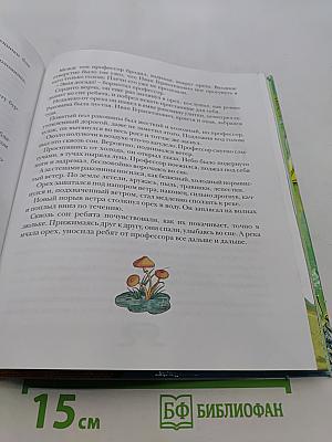 Необыкновенные приключения Карика и Вали