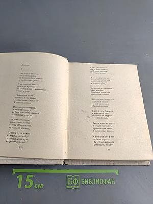Продолжение жизни. Стихотворения и поэмы
