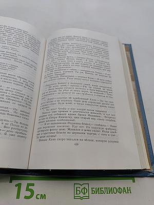 Слово и дело. Книга вторая. Мои любезные конфиденты