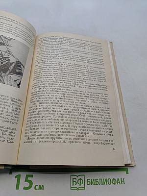 Культура ягодников в приусадебных садах
