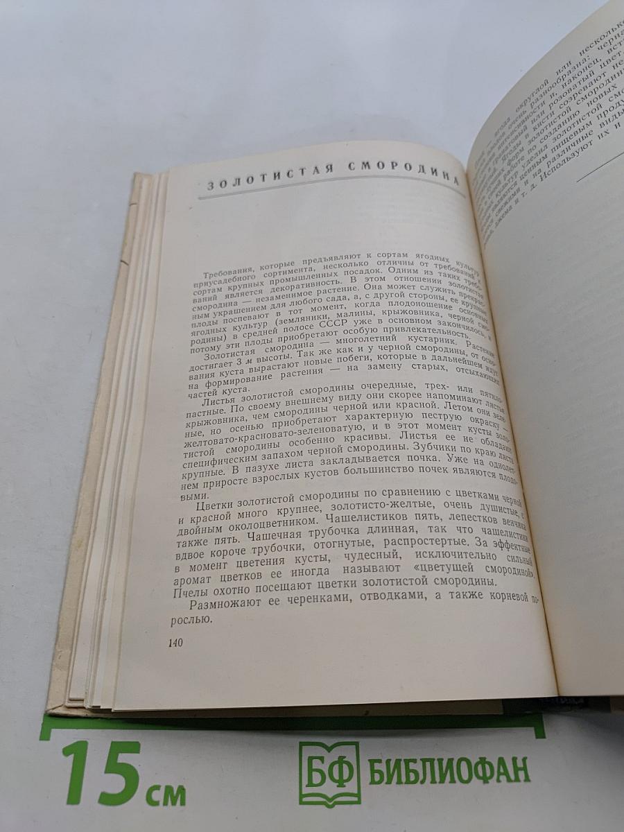 Культура ягодников в приусадебных садах