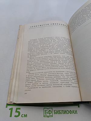 Культура ягодников в приусадебных садах