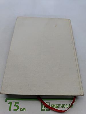 Домашнее приготовление тортов, пирожных, печенья, пряников, пирогов