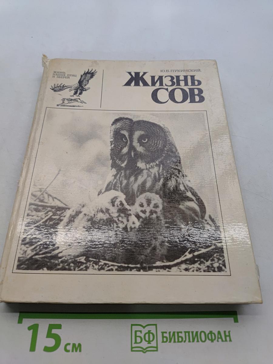 Жизнь сов