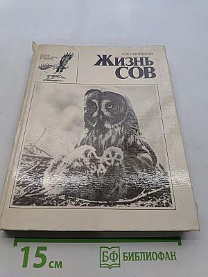 Жизнь сов