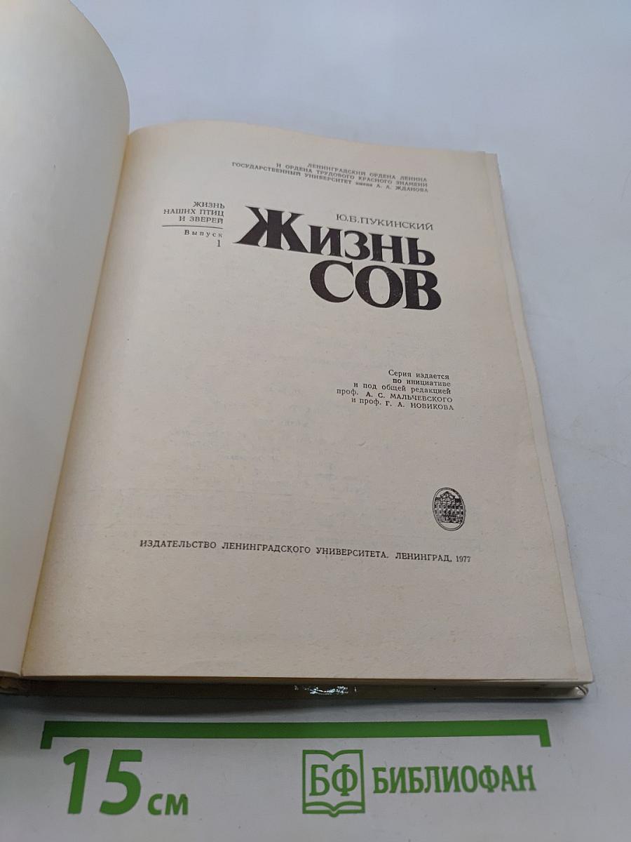 Жизнь сов