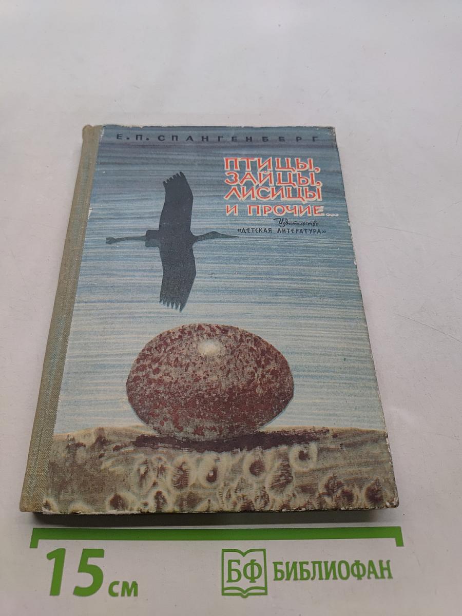 Птицы, зайцы, лисицы и прочие...