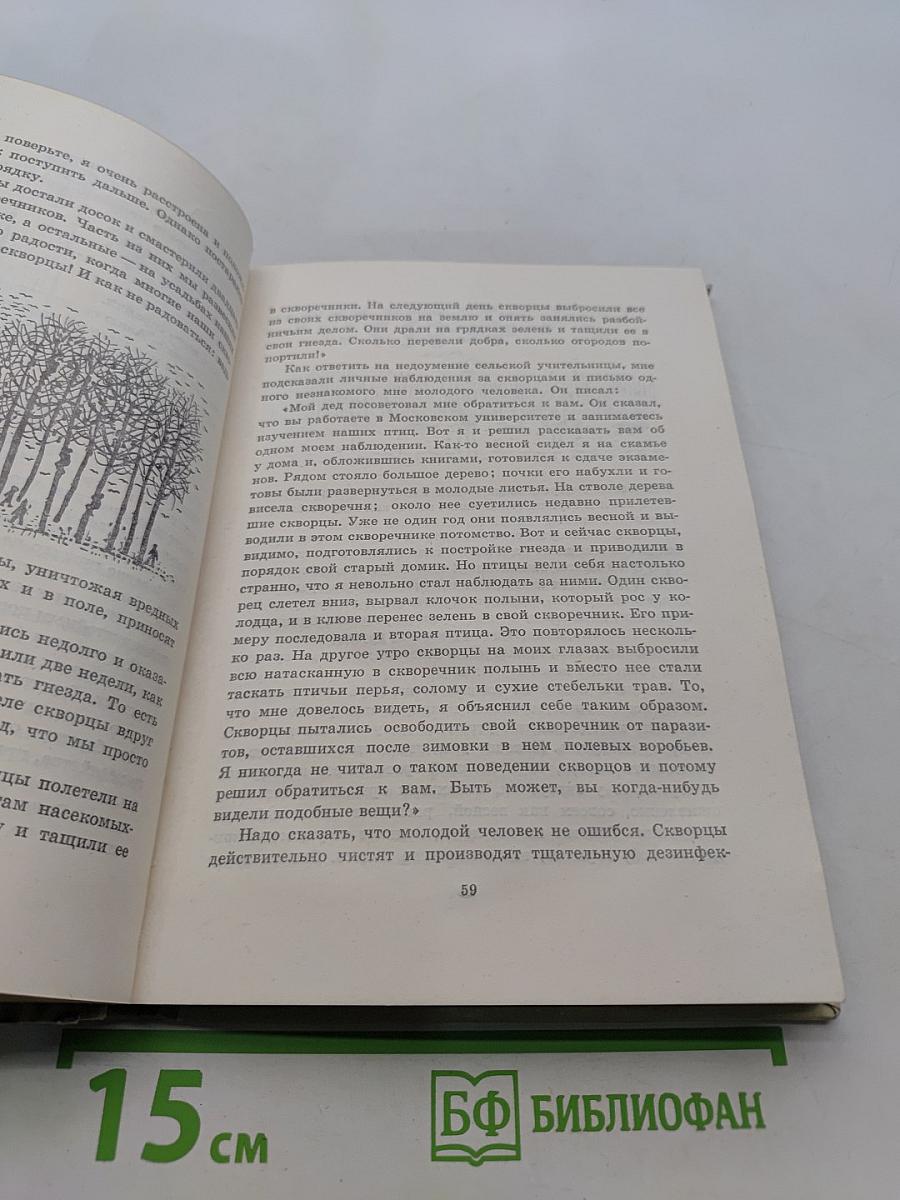 Птицы, зайцы, лисицы и прочие...
