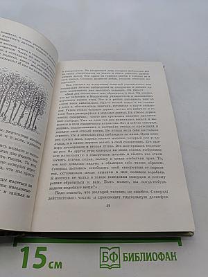Птицы, зайцы, лисицы и прочие...