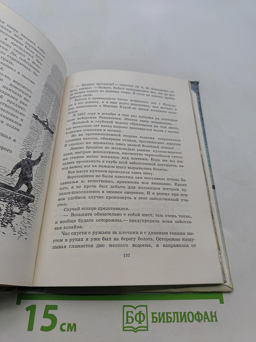Птицы, зайцы, лисицы и прочие...