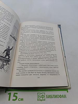 Птицы, зайцы, лисицы и прочие...