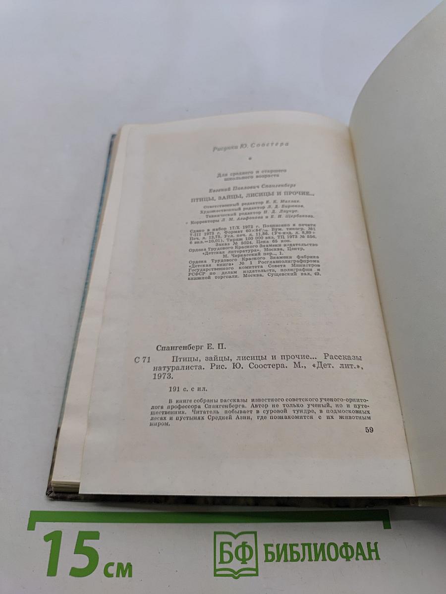 Птицы, зайцы, лисицы и прочие...