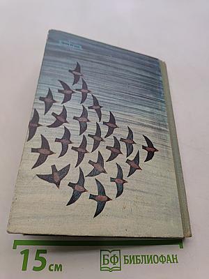 Птицы, зайцы, лисицы и прочие...