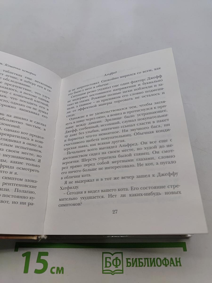 Кошачьи истории