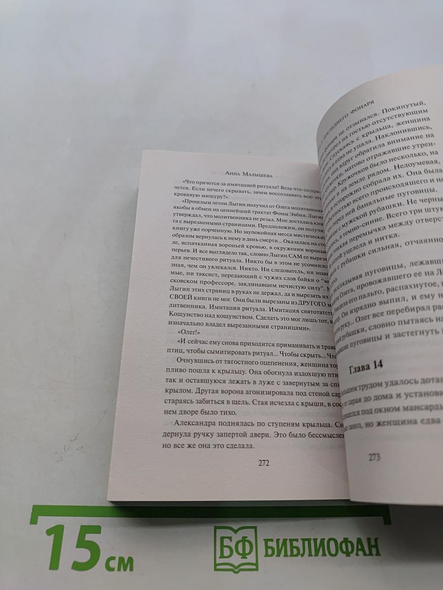 Дом у последнего фонаря