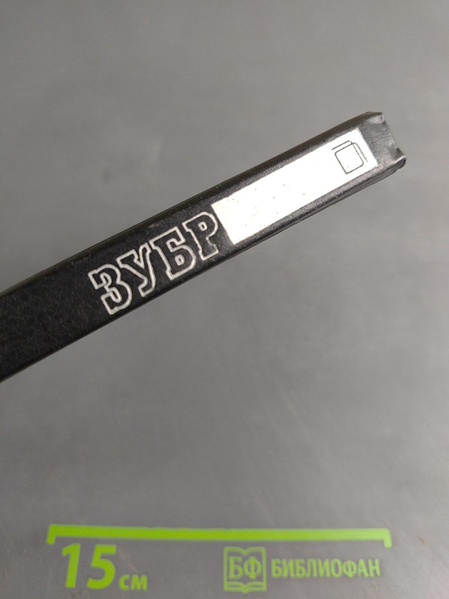 Зубр