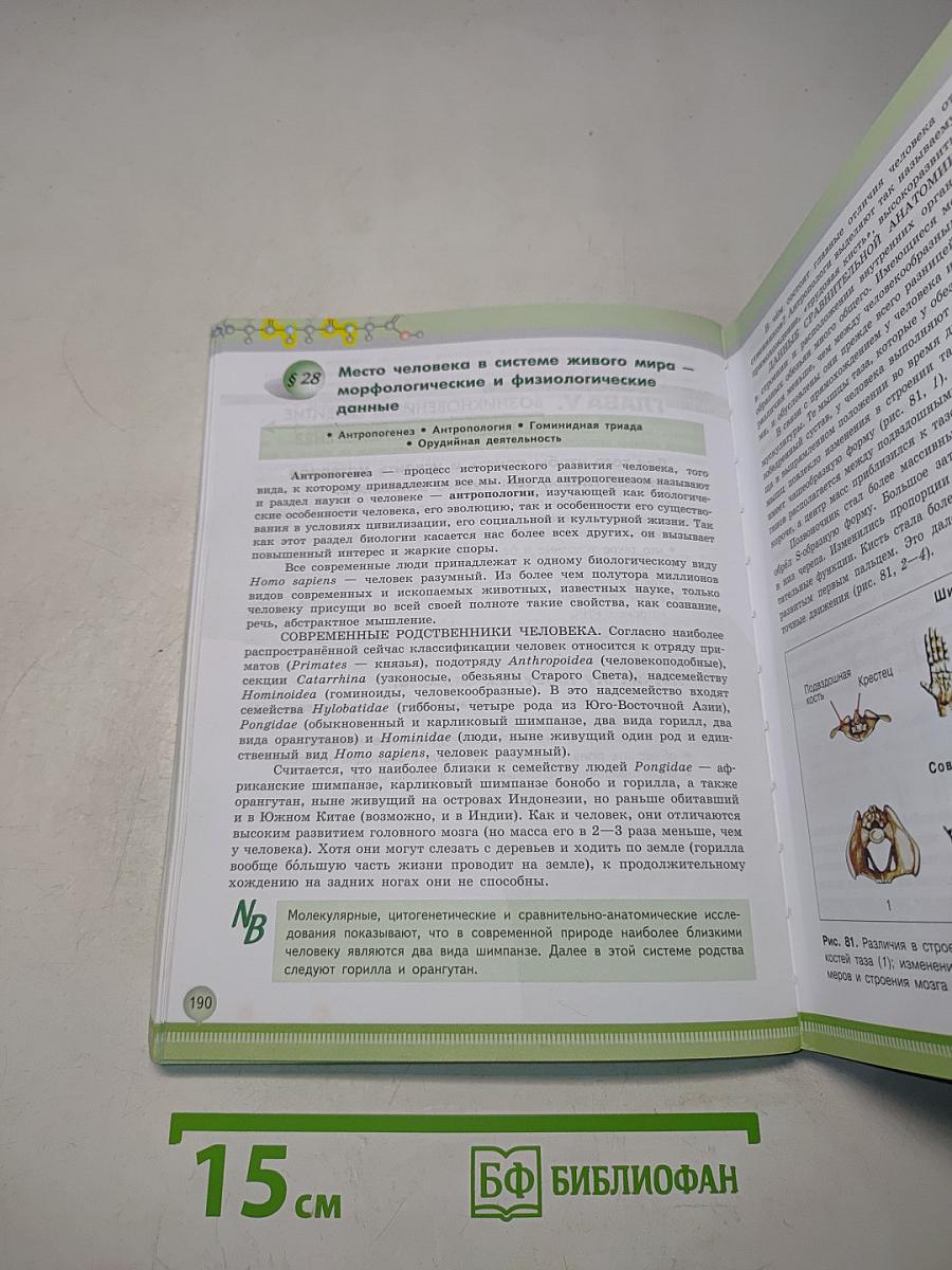 Биология. 11 класс. Углубленный уровень