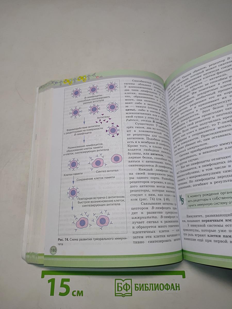 Биология 10 класс