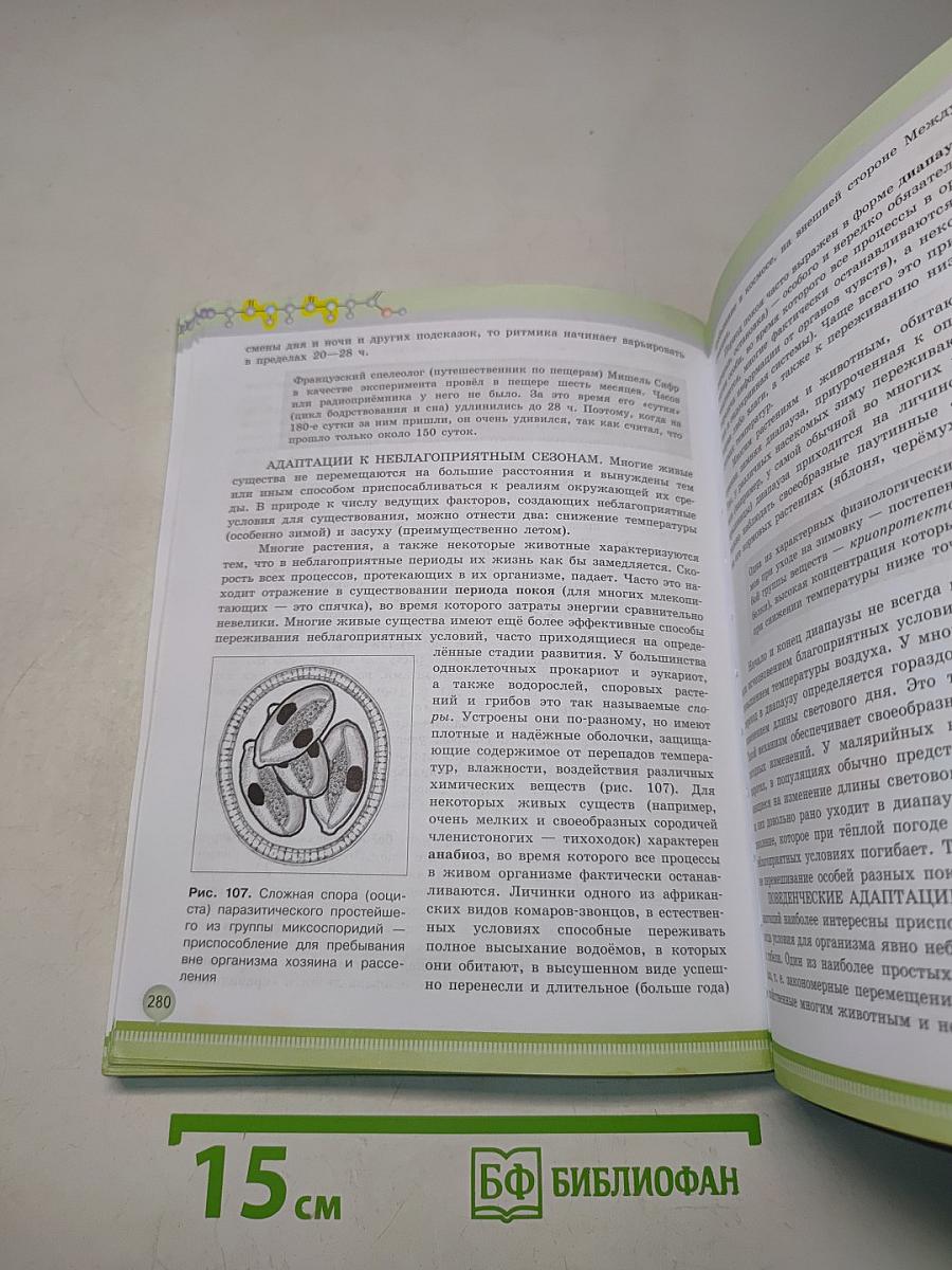 Биология. 11 класс. Углубленный уровень