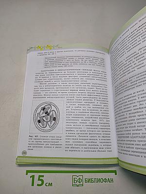 Биология. 11 класс. Углубленный уровень