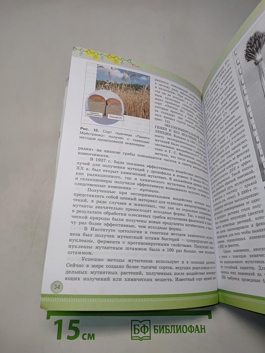 Биология. 11 класс. Учебник для общеобразовательных организаций. Углубленный уровень