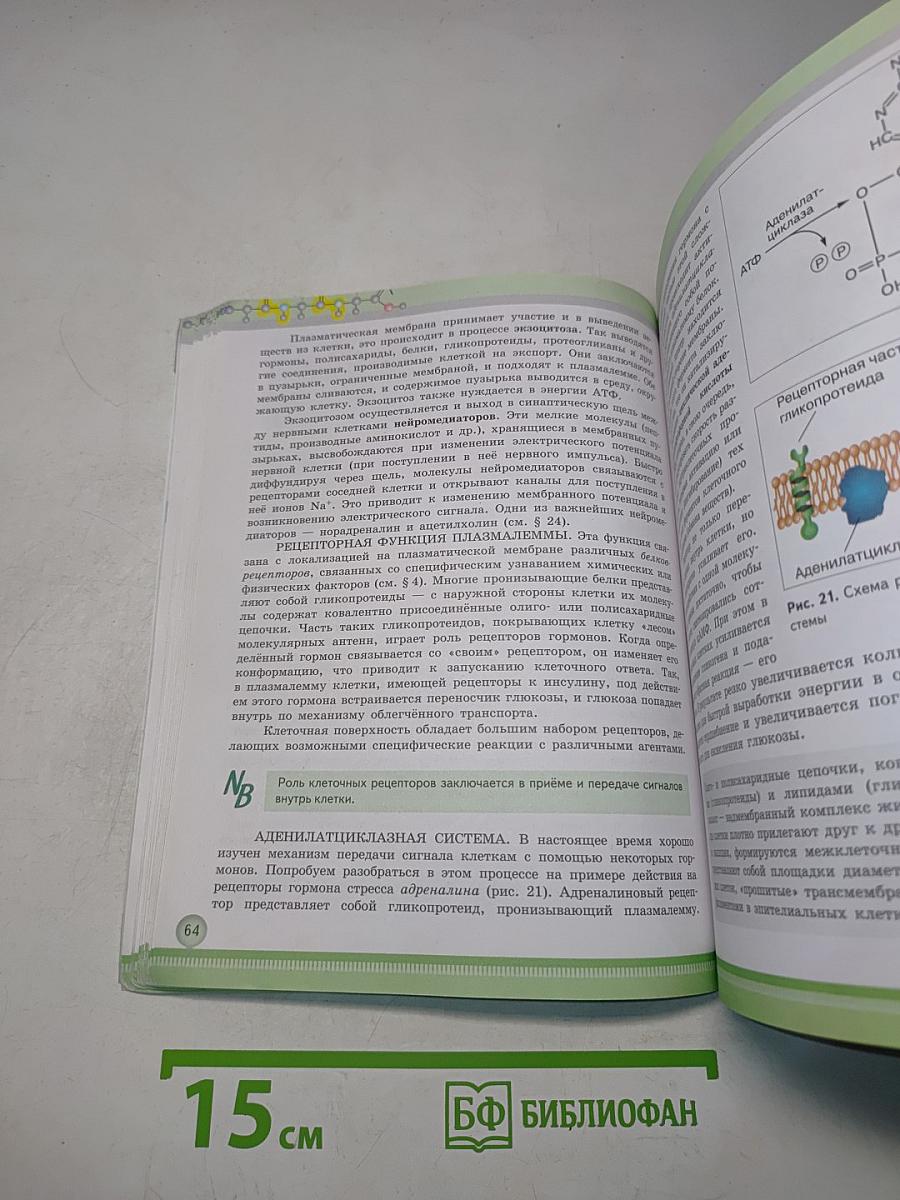 Биология 10 класс