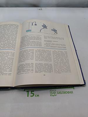 Юные корабли