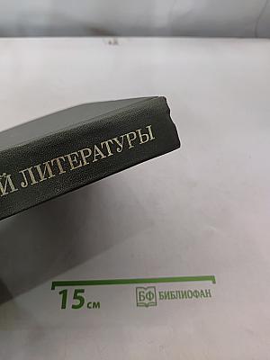 История всемирной литературы. Том второй