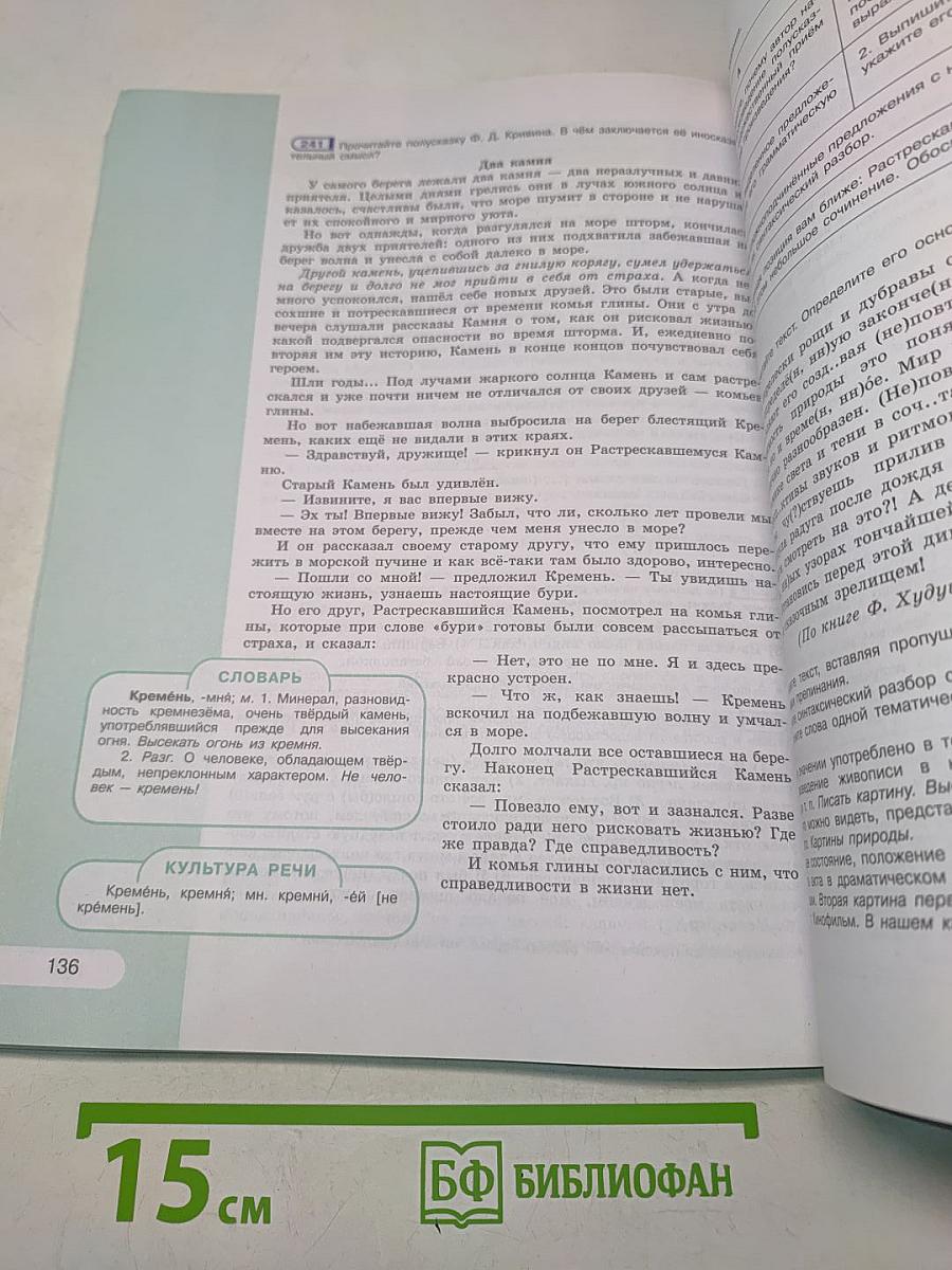 Русский язык 9 класс
