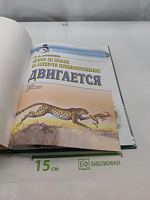 Кто и как в мире животных двигается