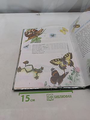 Кто и как в мире животных двигается