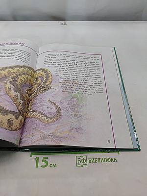 Кто и как в мире животных двигается