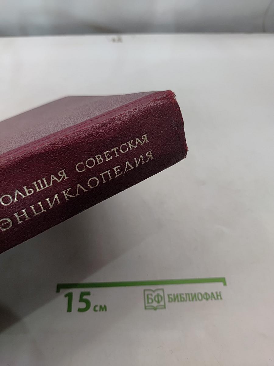 Большая Советская Энциклопедия. Том 22. Ремень - Сафи